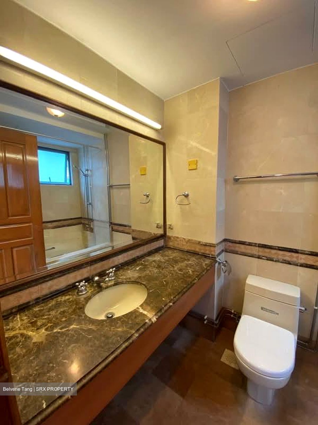 Gold Palm Mansion (D15), Apartment #639509321